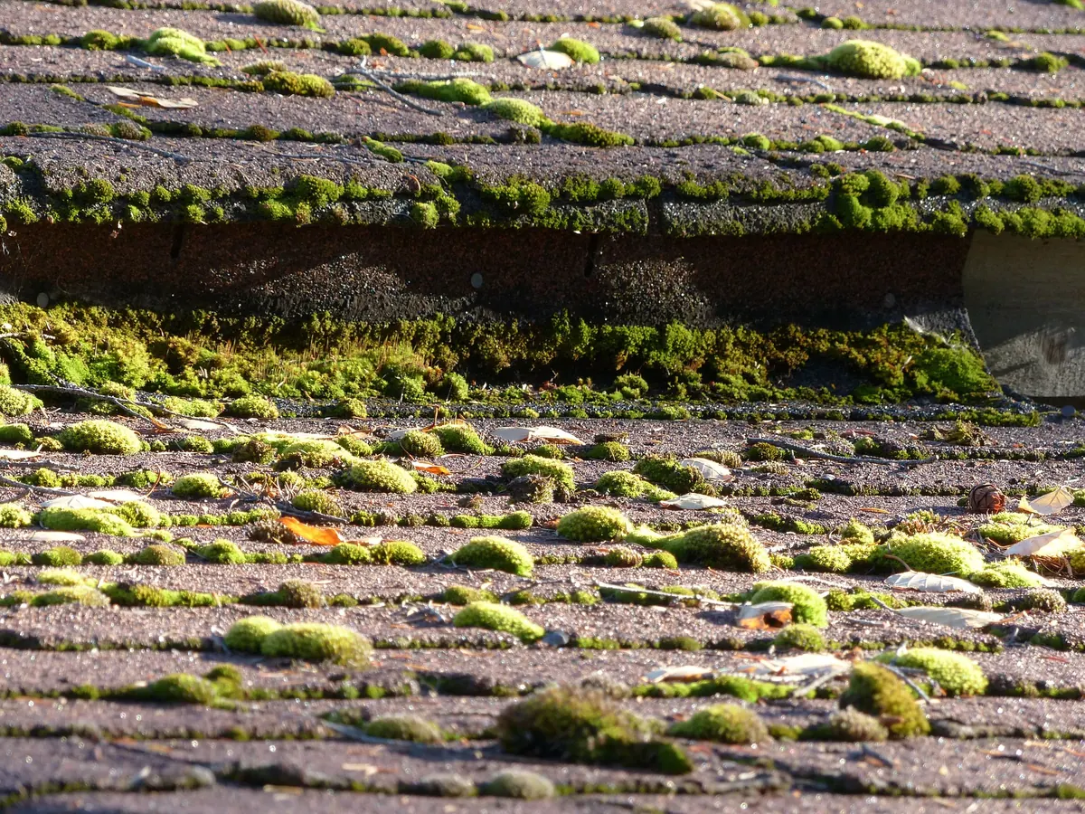Moss Removal work by All Fix Roofing, Dublin